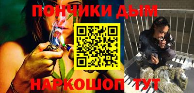 прущие грибы Абакан