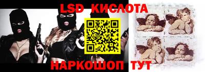 шишки Аргун