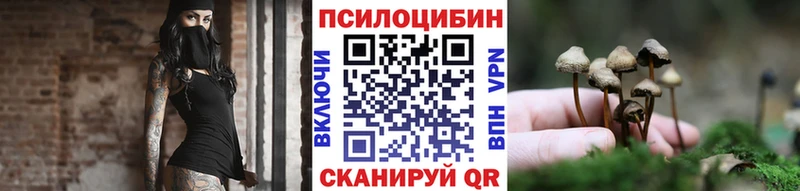 MEGA онион  Медногорск  Галлюциногенные грибы Magic Shrooms 