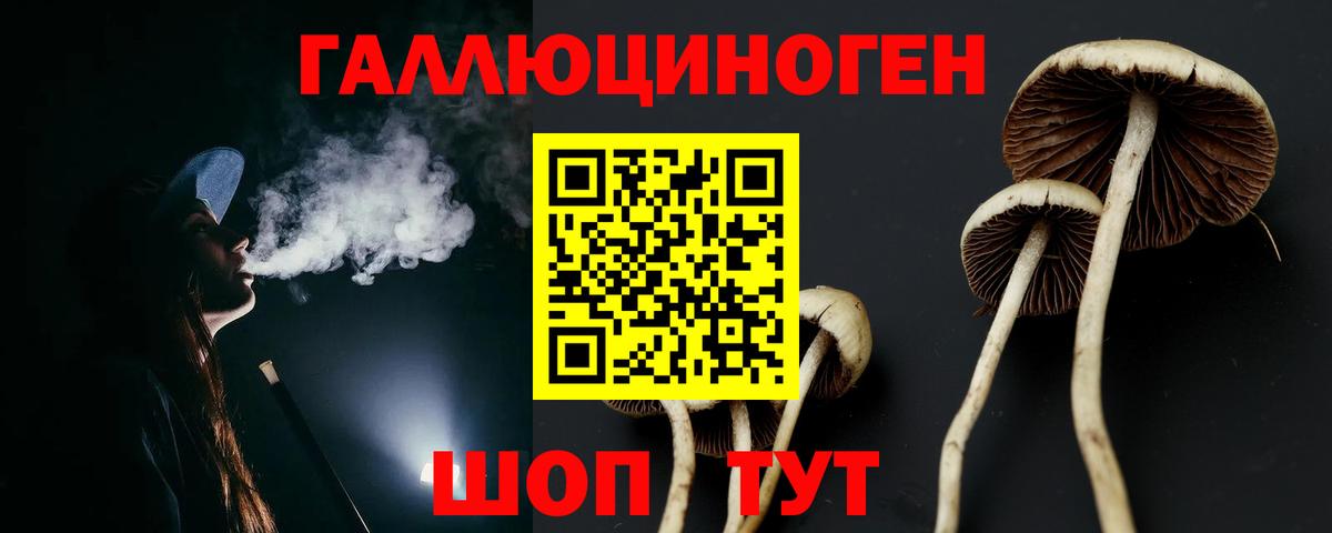 наркотики  Псилоцибиновые грибы ЛСД  Псилоцибиновые грибы Magic Shrooms  Вход с VPN  Медногорск 